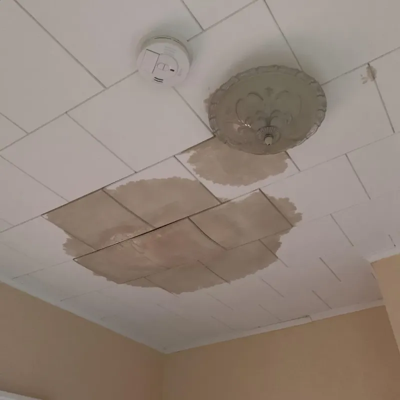 Ceiling Water Damage Repair in College Station, TX